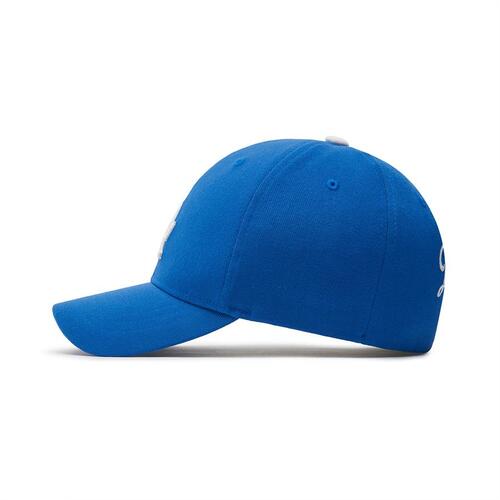 MLB Basic Team Balllos Angeles Dodgers Kids' Caps Blue | 3279081-WR