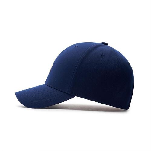 MLB Premium Basic Small Logo Structured Ball Los Angeles Dodgers Hats Navy | 6271509-WZ